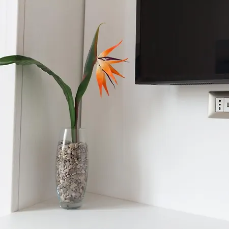 Appartement Coast & Coast | *